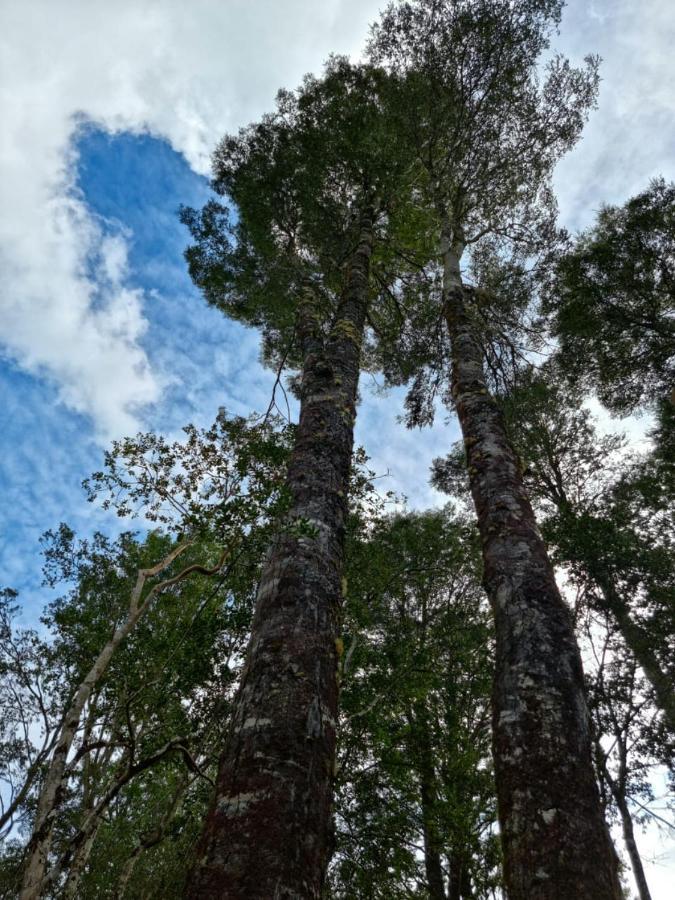 Appartamento Cabana Los Coihues Puerto Montt Esterno foto