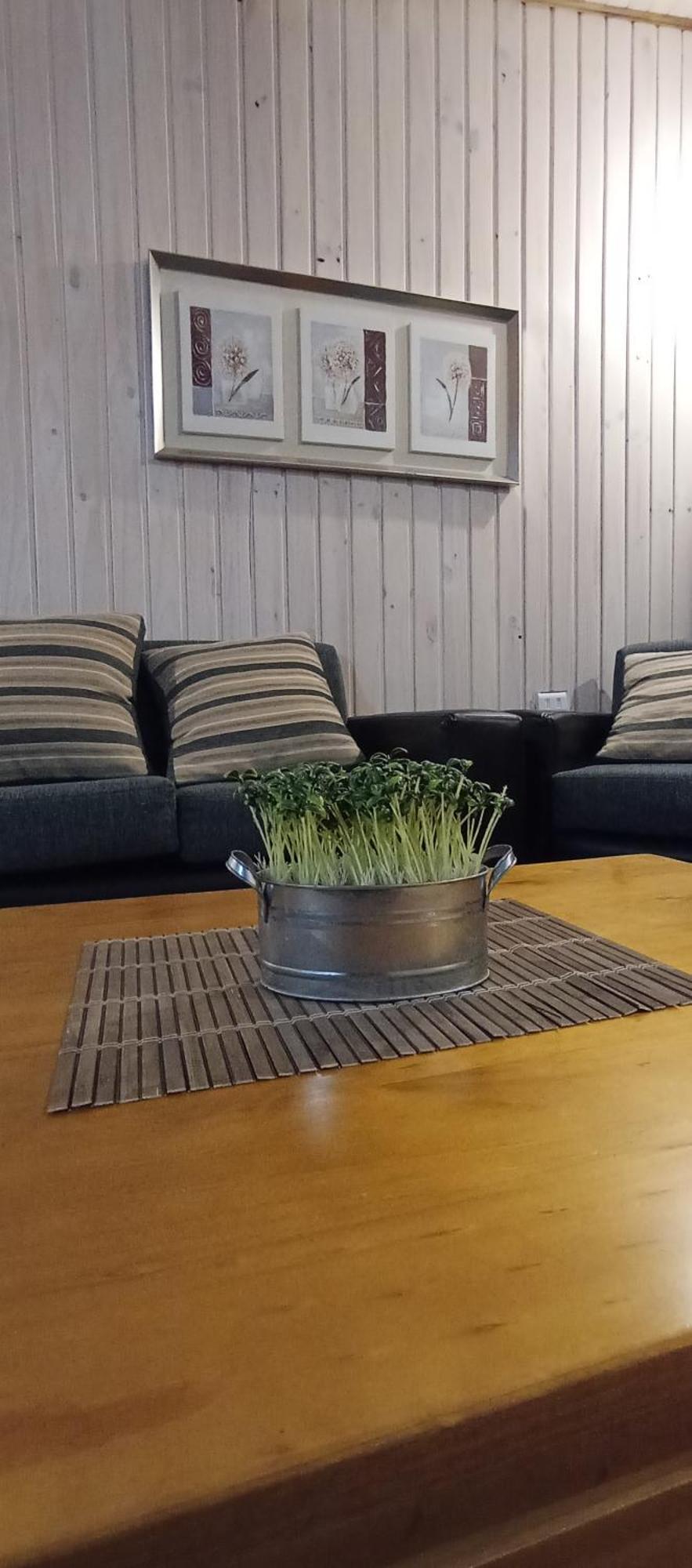 Appartamento Cabana Los Coihues Puerto Montt Esterno foto